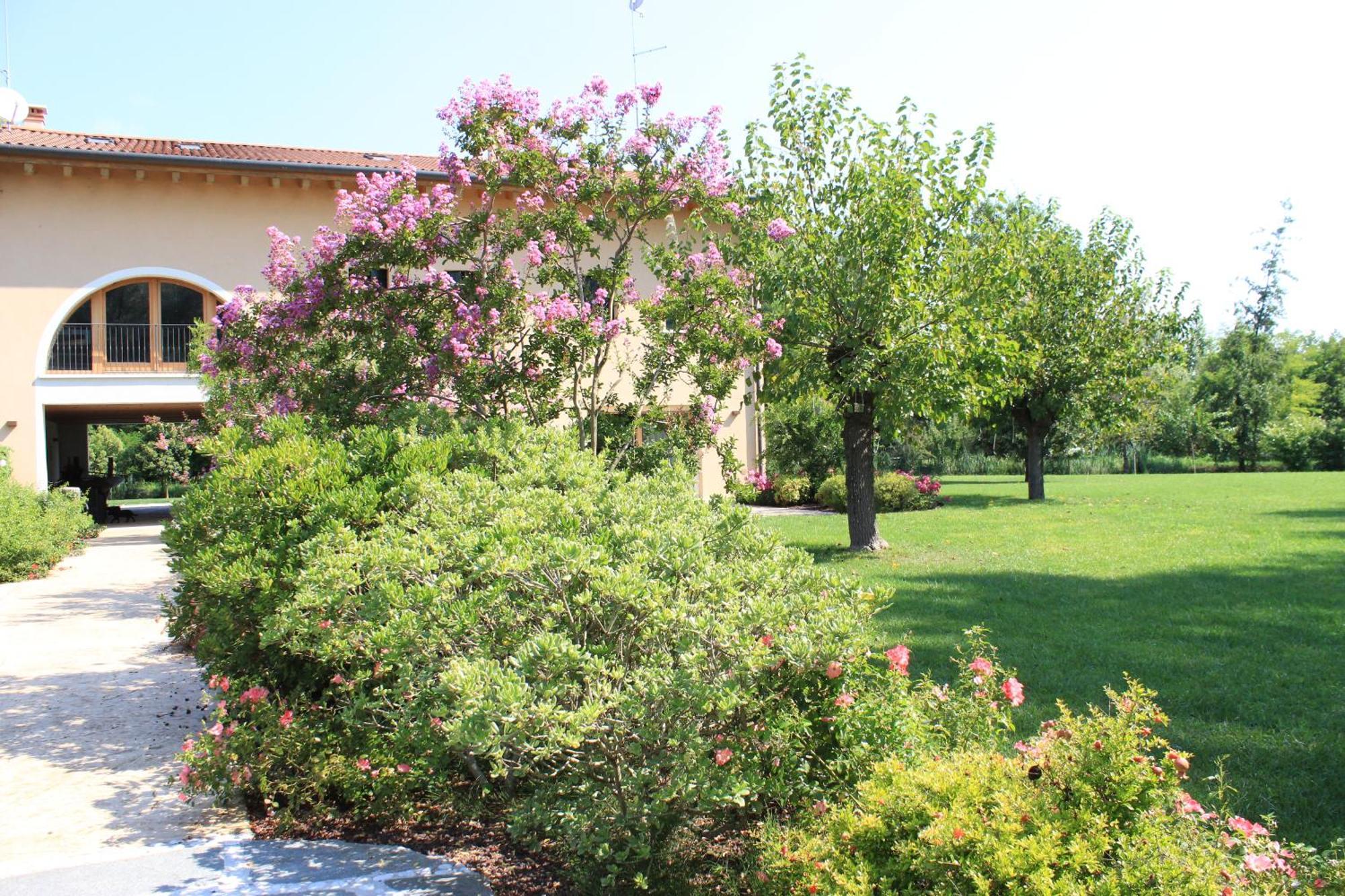 Ca' Del Sile Bed and Breakfast Morgano Δωμάτιο φωτογραφία